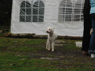 2009-10-03_ntb_9370