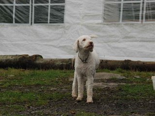 2009-10-03_ntb_9371