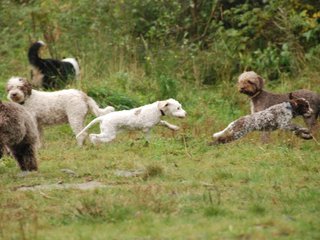2009-10-03_ntb_9372