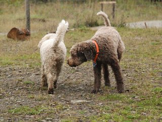 2009-10-03_ntb_9373