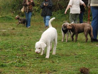 2009-10-03_ntb_9374