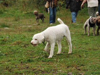 2009-10-03_ntb_9375