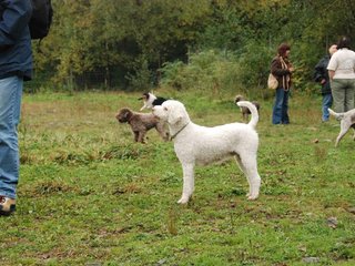 2009-10-03_ntb_9377