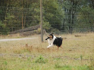 2009-10-03_ntb_9379