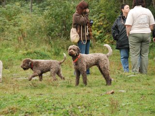 2009-10-03_ntb_9380