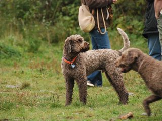 2009-10-03_ntb_9381