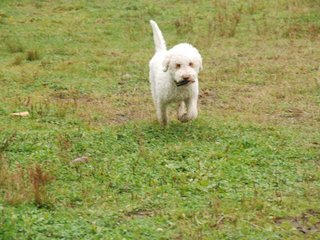 2009-10-03_ntb_9385