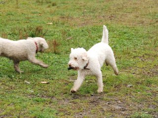 2009-10-03_ntb_9387