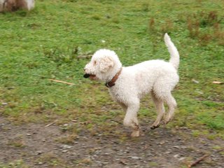2009-10-03_ntb_9388