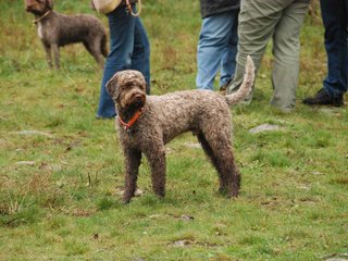 2009-10-03_ntb_9392