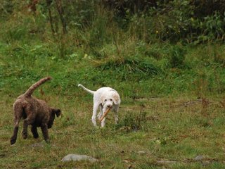 2009-10-03_ntb_9393