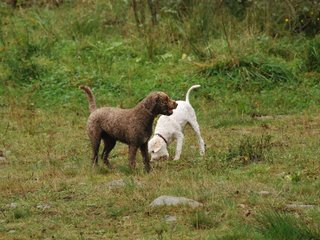 2009-10-03_ntb_9394