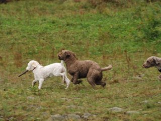2009-10-03_ntb_9395
