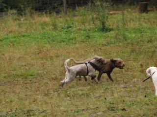 2009-10-03_ntb_9397