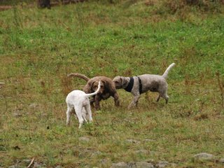 2009-10-03_ntb_9398