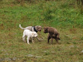 2009-10-03_ntb_9399