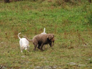 2009-10-03_ntb_9401
