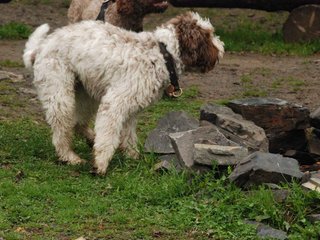 2009-10-03_ntb_9402