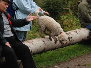 2009-10-03_ntb_9403