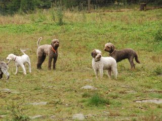 2009-10-03_ntb_9407