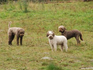 2009-10-03_ntb_9408