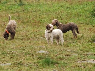 2009-10-03_ntb_9409