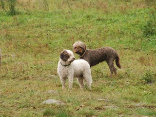 2009-10-03_ntb_9410
