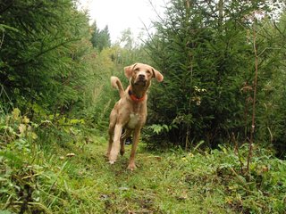 2009-10-03_ntb_9411