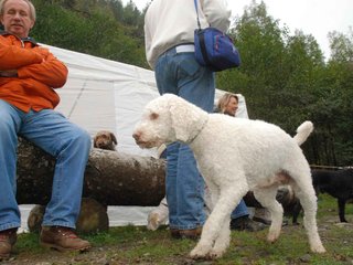 2009-10-03_ntb_9415