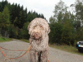2009-10-03_ntb_9416