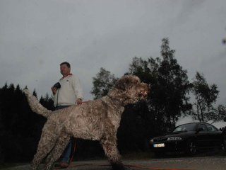 2009-10-03_ntb_9417