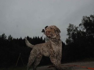 2009-10-03_ntb_9418