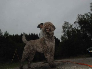 2009-10-03_ntb_9419