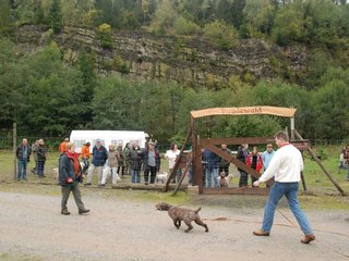 2009-10-03_ntb_9423