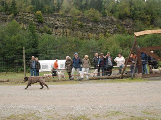 2009-10-03_ntb_9425