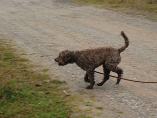 2009-10-03_ntb_9426