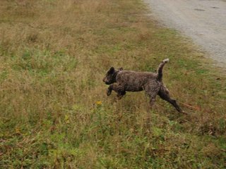 2009-10-03_ntb_9427