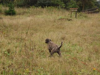 2009-10-03_ntb_9428