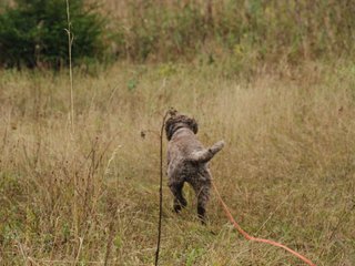 2009-10-03_ntb_9430