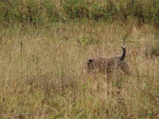 2009-10-03_ntb_9431