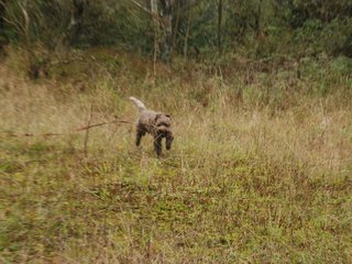 2009-10-03_ntb_9432