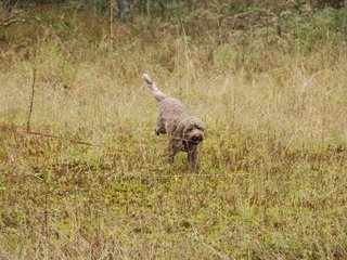 2009-10-03_ntb_9433