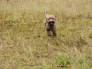 2009-10-03_ntb_9434