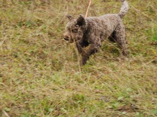 2009-10-03_ntb_9435