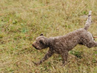 2009-10-03_ntb_9436