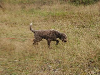 2009-10-03_ntb_9437