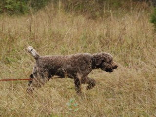 2009-10-03_ntb_9438