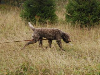 2009-10-03_ntb_9439