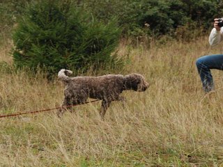 2009-10-03_ntb_9440