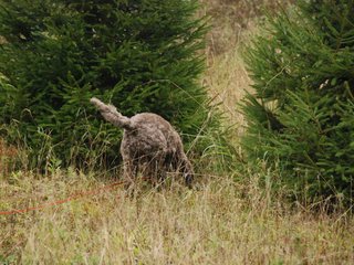 2009-10-03_ntb_9442